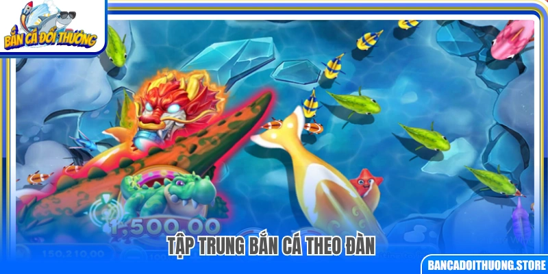 Chiến thuật bắn cá theo đàn để tối ưu xu